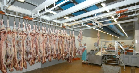 Дезинсекция на мясокомбинате в Щербинке, цены на услуги