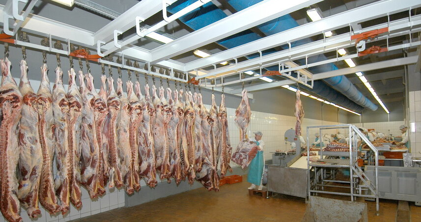 Дезинсекция на мясокомбинате в Щербинке, цены на услуги